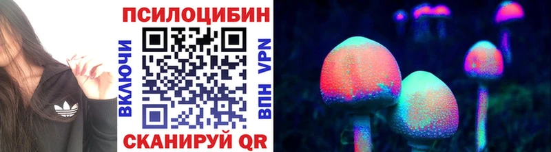 Галлюциногенные грибы Psilocybe  Гаврилов-Ям 